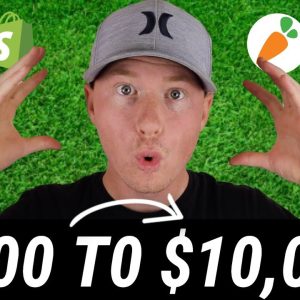 I Tried Turning $100 → $10,000 (Side Hustle Challenge)
